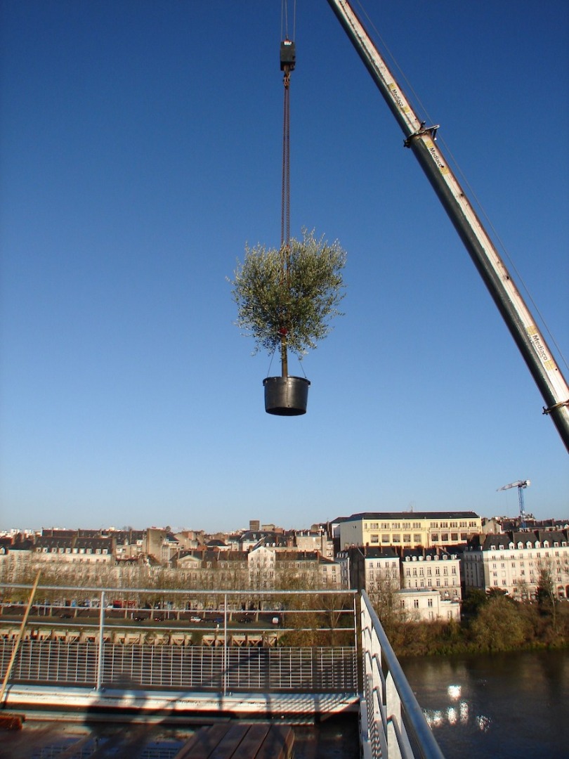 Terrasse bois sur toit étanche à Nantes